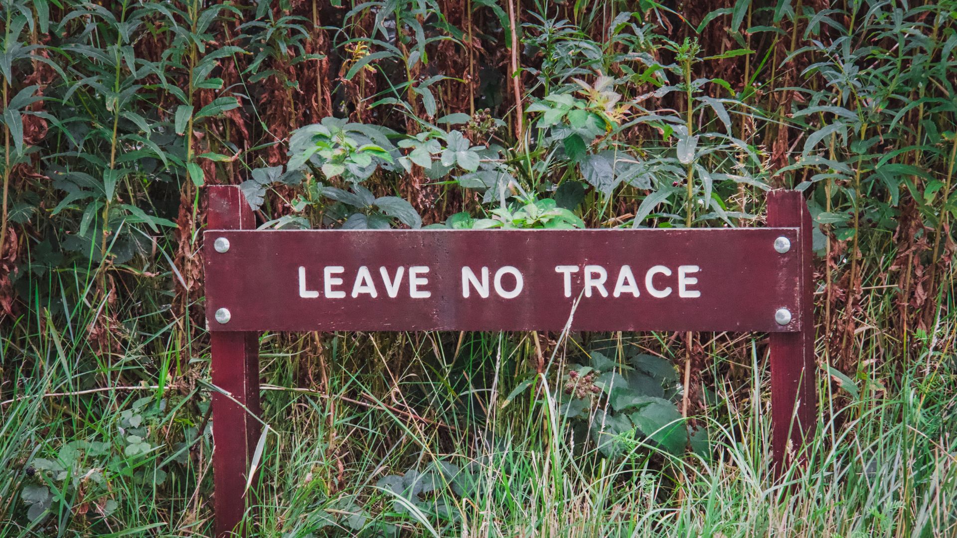 Leave no trace sign